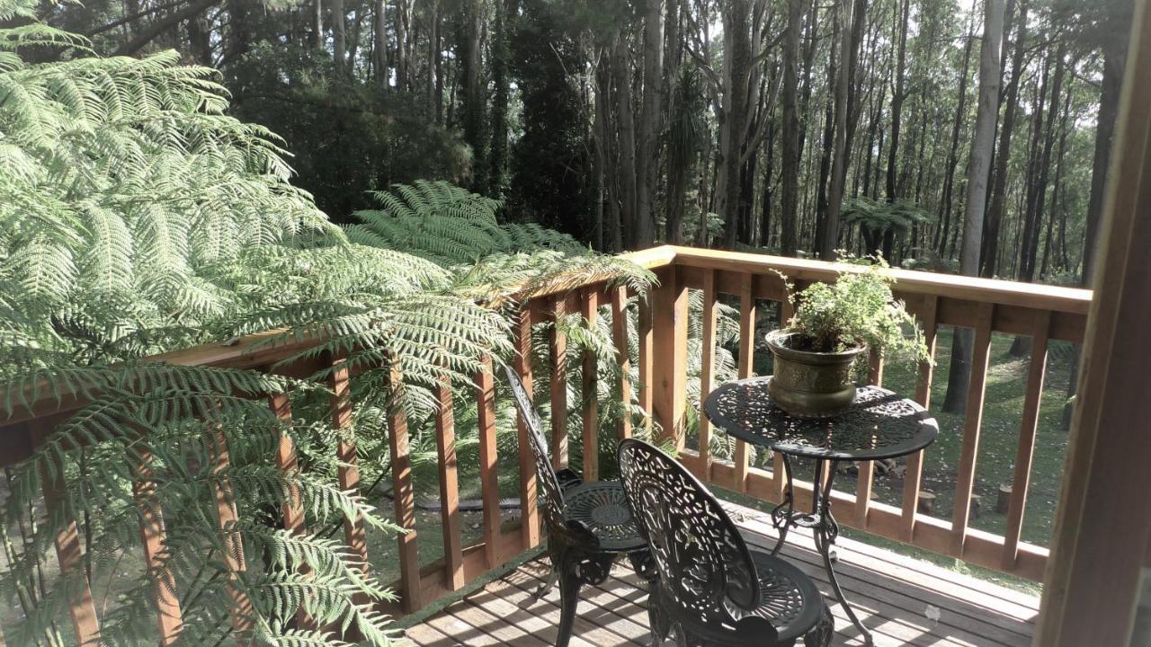 Chudleigh Park Cottages Sassafras Exteriér fotografie